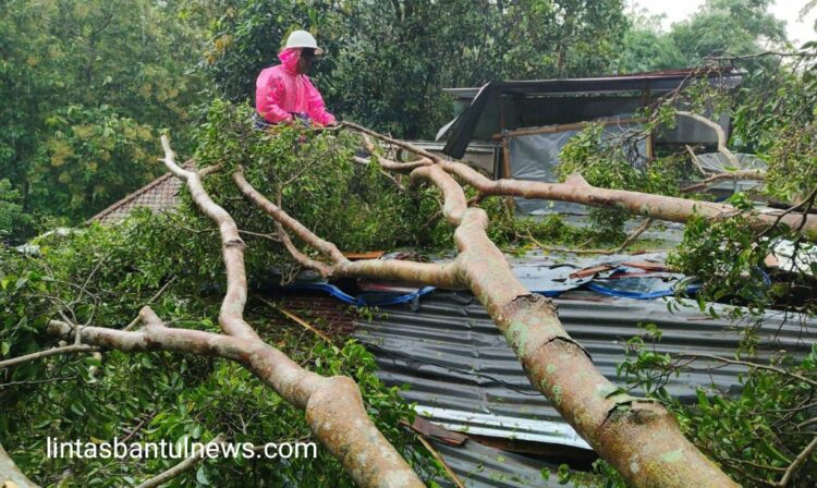 Tertimpa Pohon Tumbang, Dua Rumah di Imogiri Bantul Alami Kerusakan Berat