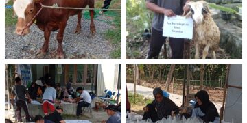 Gerakan Qurban di Yayasan Kiwari Bantul Indonesia